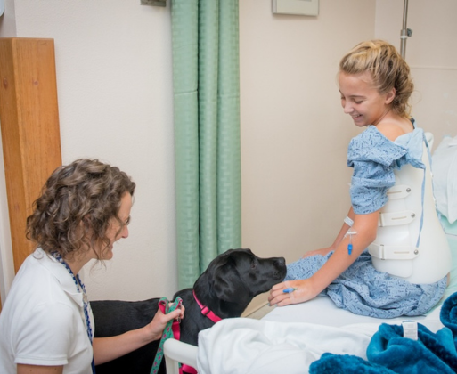 Animal Therapy dog with pediatric patient