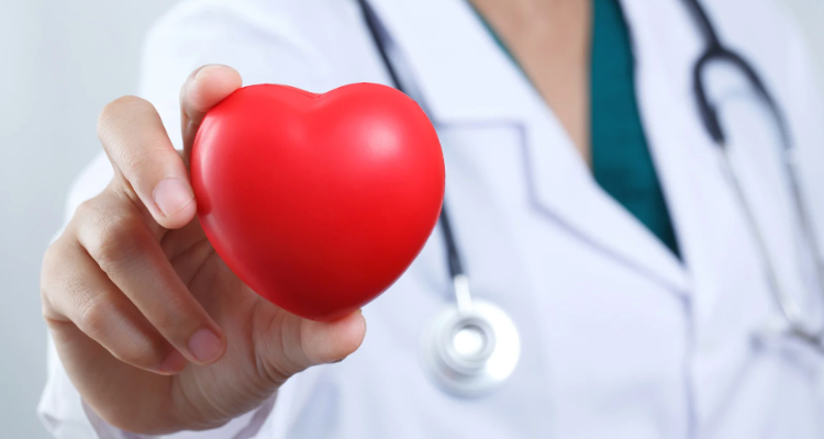 Doctor holding a heart shaped object