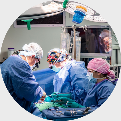 Barostim procedure