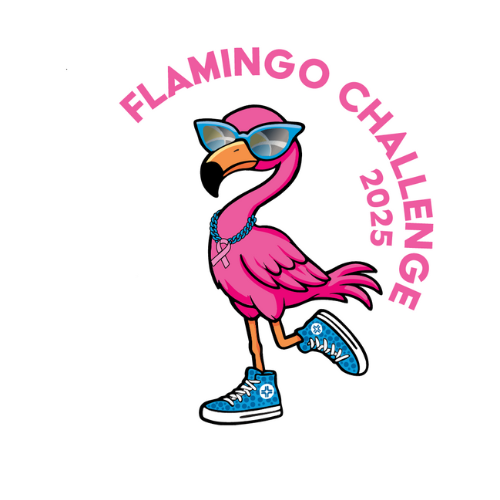Pink flamingo graphic