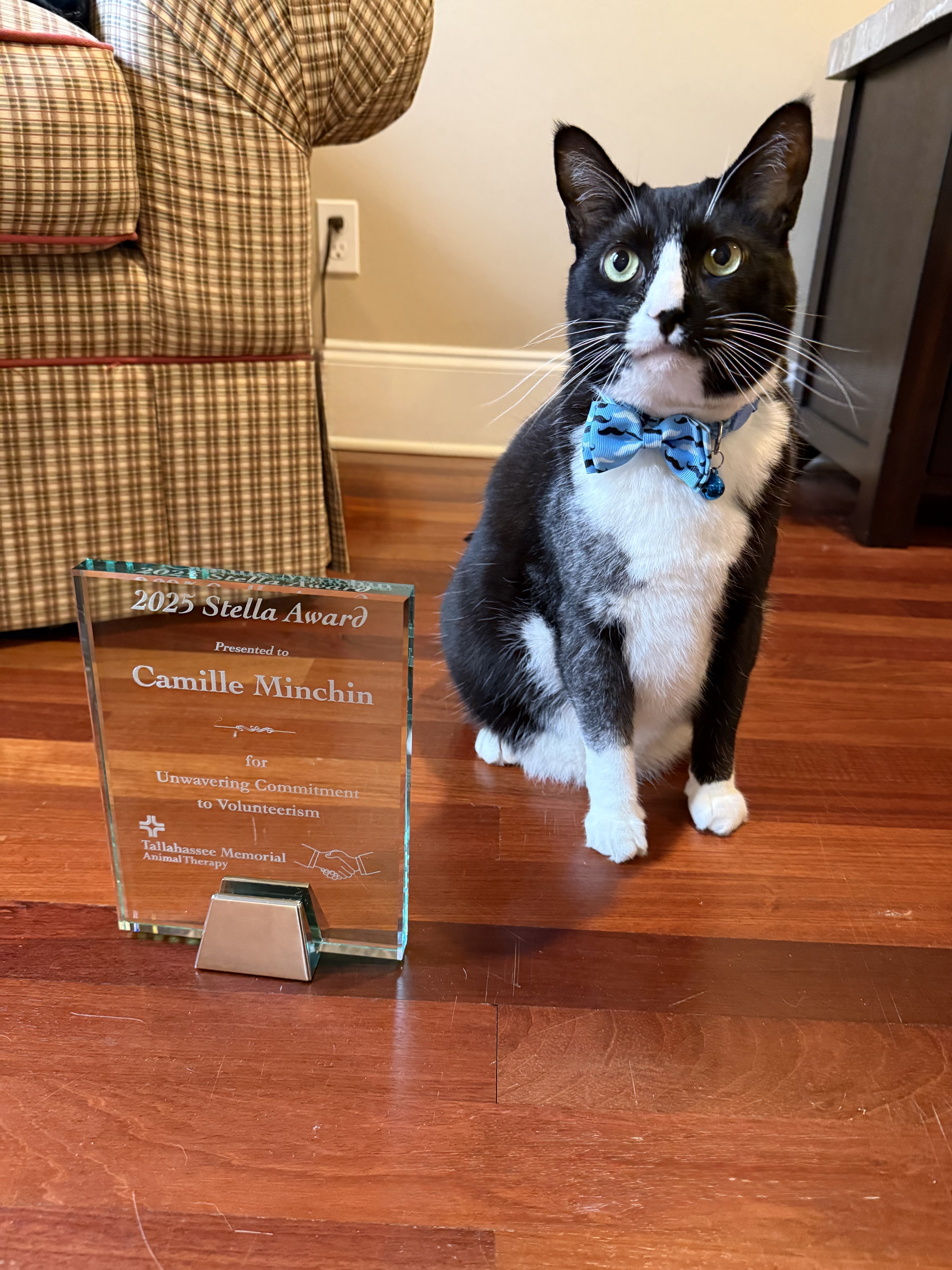 Camille Minchin and Mister Mistoffelees with the Stella Award