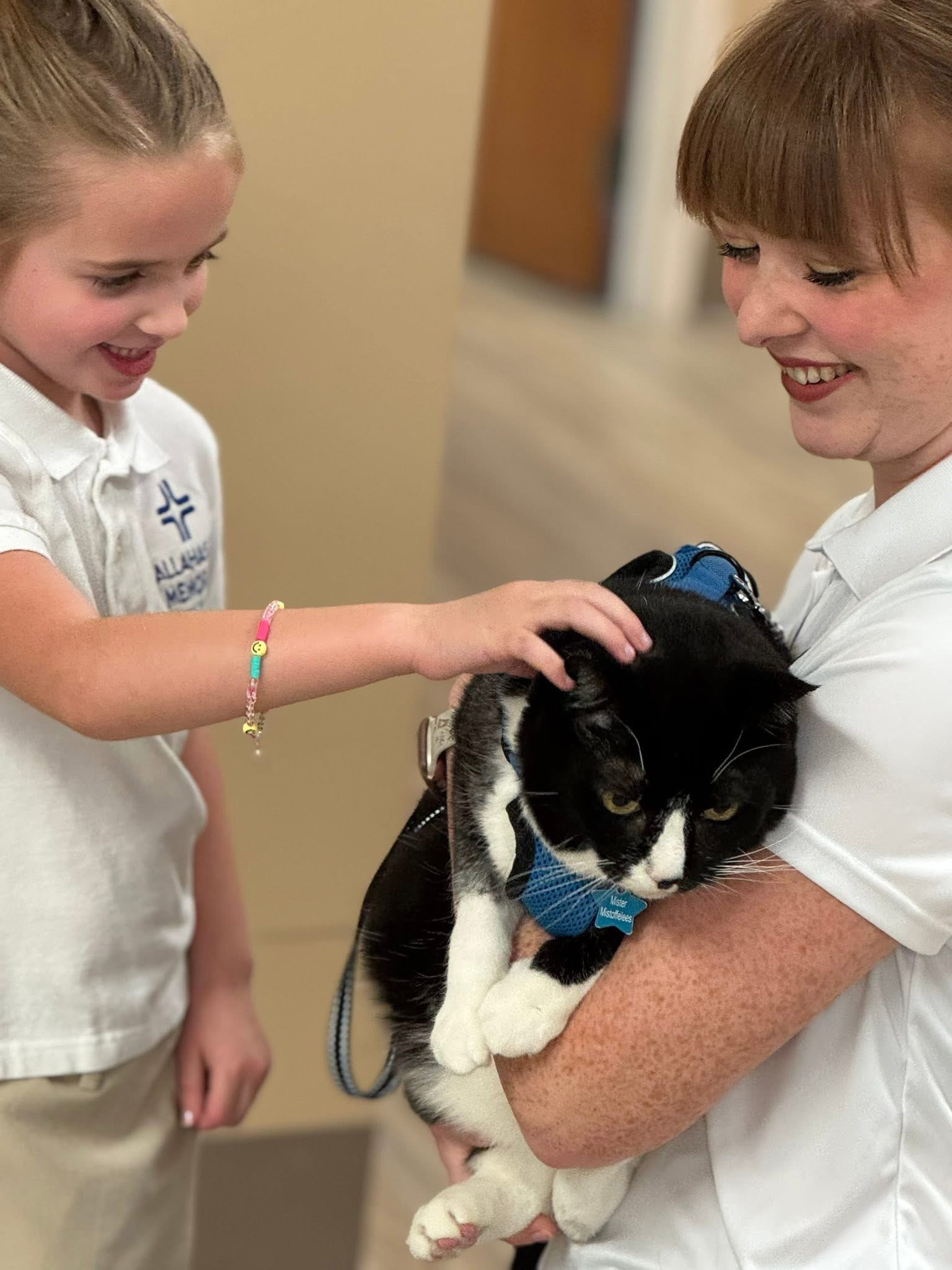 A child petting Mister Mistoffelees during an animal therapy visit