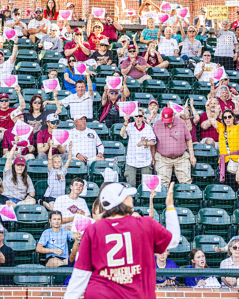 Softball Crowd holding signs with pink hearts