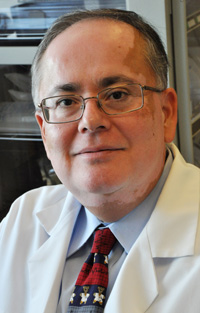 Muhammad Y. Hasan, MD